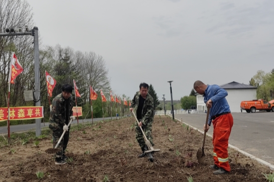 1747377028297549.jpg 大東林場開展“共建綠色家園”環(huán)境美化行動(1).jpg